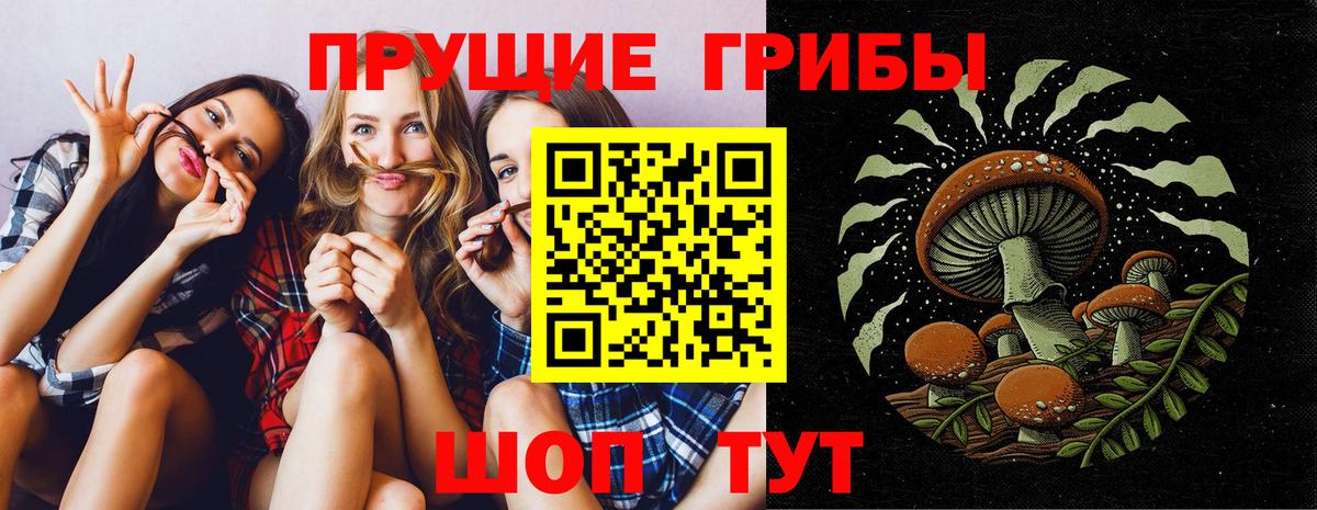 Псилоцибиновые грибы мицелий  Вход с VPN  Протвино 
